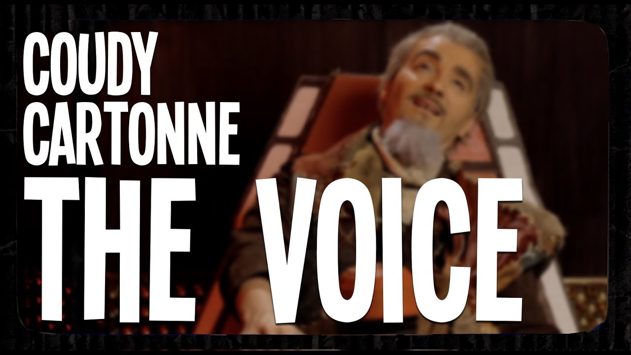 Ce que vous a caché The Voice !
