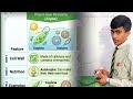 Protists Explained | Plant-Like, Fungi-Like & Animal-Like #viral #biology #education #trending