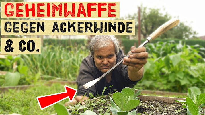 Unkräuter mit tiefen Wurzeln entfernen mit diesem Werkzeug, Löwenzahn, Ackerwinde, Ampfer, Disteln.
