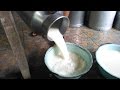 Ternyata begini cara mengolah susu sapi murni...
