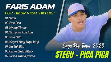 Faris Adam - STECU | Juan Reza - PICA PICA | NYONG TIMUR || LAGU POP TIMUR VIRAL TIKTOK 2025