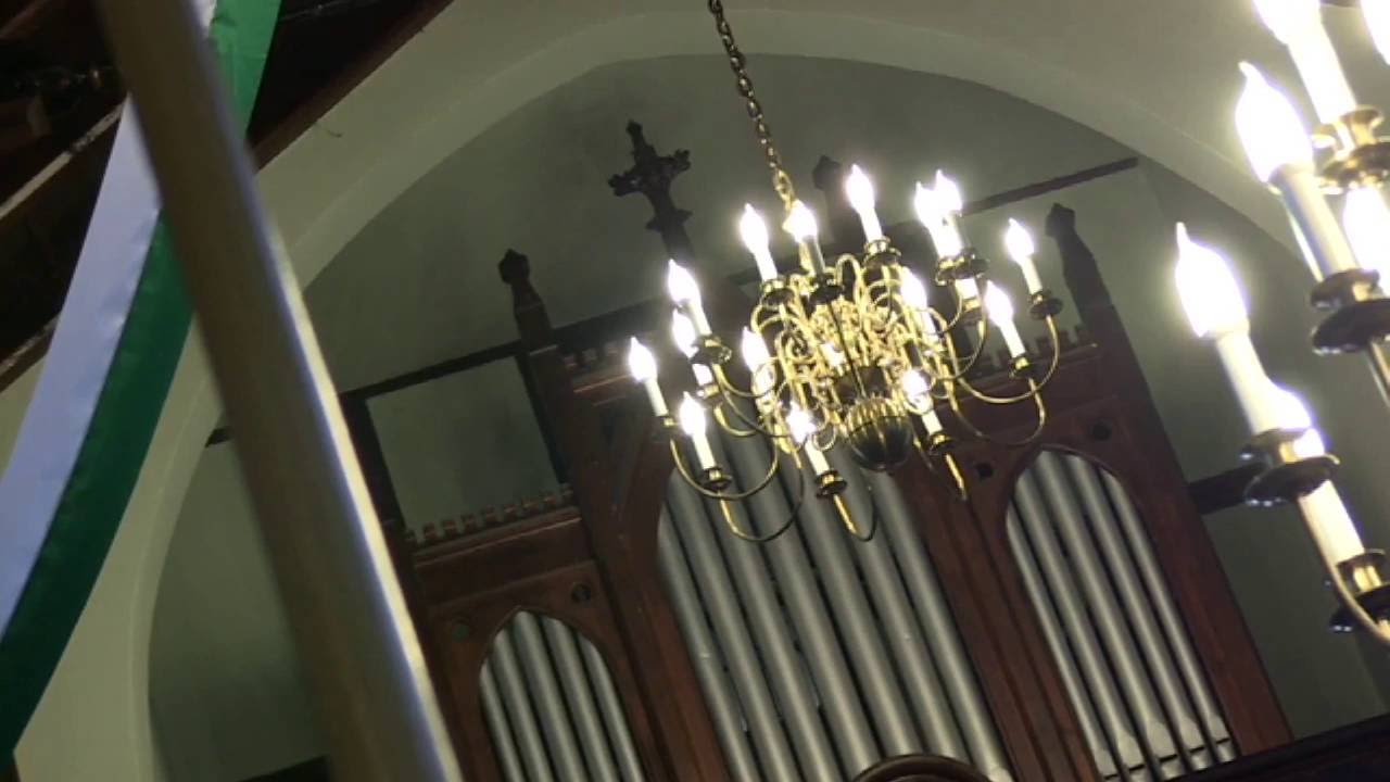 Organista szaleńczo śpiewa 