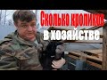 Сколько кроликов в хозяйстве  "Хороший парень"