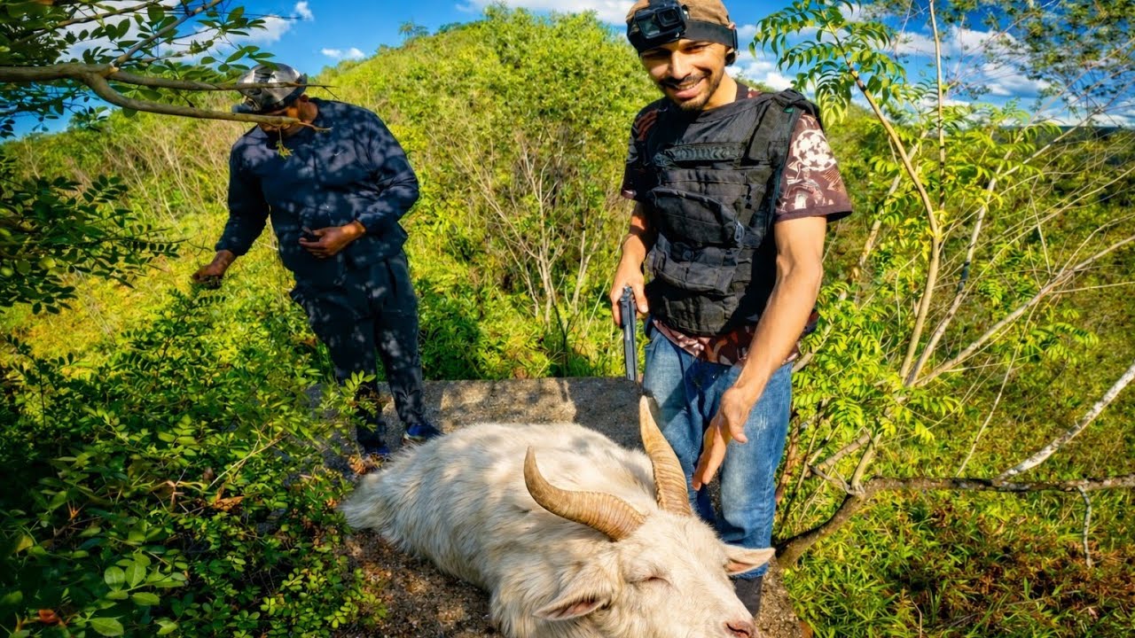 CRIATURA CABEÇA DE BODE NAO VIVE MAIS AQUI ?