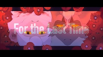 For the Last Time - Hollowstar/Rosebud Animation Meme [Warriors OCs]