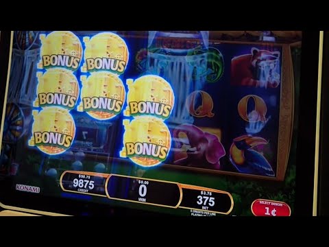 777 Charlie Movie Ott | Golden Nugget Casino reopens after water pressure issues