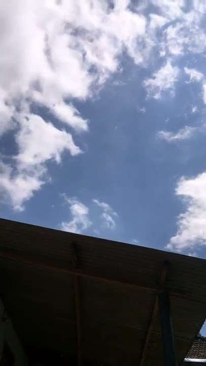 STORY AWAN GERAK VIRAL || TIKTOK⁉️#shorts #viral #storywa