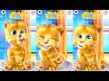 Talking Ginger Bear Gameplay