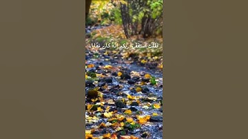 استغفار || آيات الاستغفار من سورة نوح