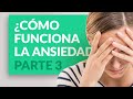 Cómo funciona la ansiedad / Parte 3