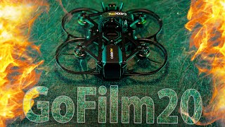 ☀ Взрывной двухдюймовый - а почему взрывной? [CADDXFPV Gofilm 20]