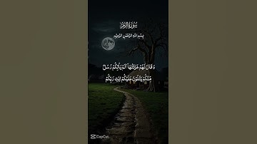 سورة الزمر #اكسبلور #like #المصحف #الرحمن #لايك #share #duet #indiapakistanviral