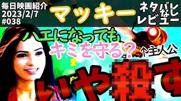 【毎日映画紹介】転生したらハエだった件『マッキー／Makkhi』【Amazonプライムビデオ】