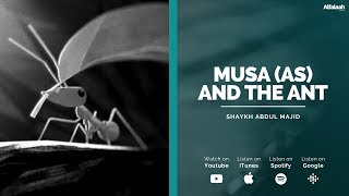 Must Watch - Musa (A.S) &amp; The Ant - Allah Provides for All -  Shaykh Abdul Majid