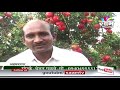 Balasaheb Bhalerao Pomegranate (Dalimb) Succes Story