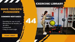 Rope Triceps Pushdown | nutritrainlab.com