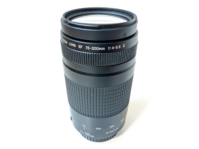 CANON EF 75-300mm F4-5.6 II Auto Focus Telephoto Lens - YouTube