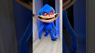 Это настоящий супер Соник? 🙀 #кот #кошка #животные #ужасы #страшно #ужастик #суперсоник #соник