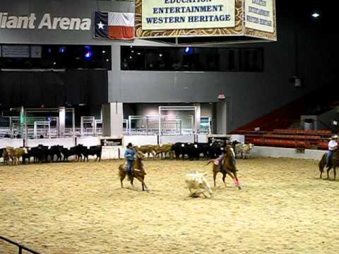 houston live stock show team penning 2011