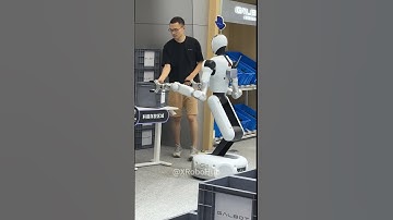 🤖WRC2025 GALBOT Robot Logistics Demonstration! #wrc2025  #galbot  #humanoidrobot