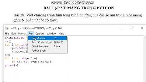 Python: Bài 28. Tính tổng bình phương của các số âm trong một mảng gồm N phần tử các số thực.
