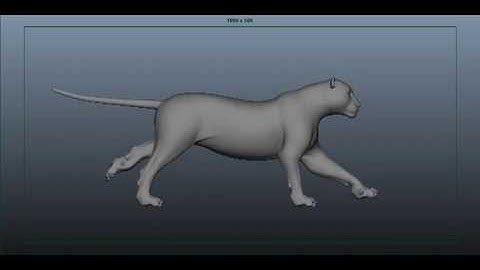 SIMPLE TIGER RUN ANIMATION TUTORIAL