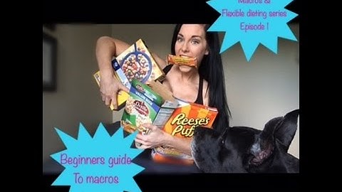 Beginners Intro to Macros | MFD series EP.01