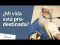 ¿Mi vida esta predestinada? | Sadhguru