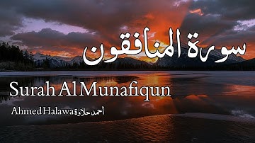 Surah Al Munafiqun سورة المنافقون - Ahmed Halawa أحمد حلاوة - Quran Voice
