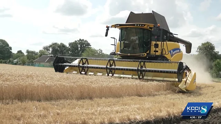 Iowa farmers share impact of Trump administration's $12 billion Farmer Bridge Assistance Program