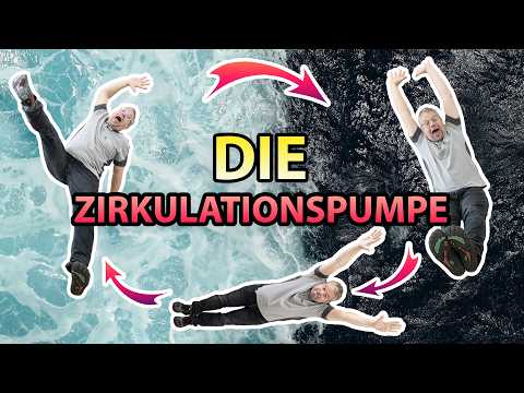 The Underrated Role of the Circulation Pump | Haustechnik Voßwinkel