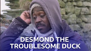 Desmond The Problem Duck | Return To Uist | BBC Scotland