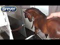 Living a Childhood Dream ~ Unboxing Breyer Horse Truck & Trailer Living a Childhood Dream ~ Unboxing Breyer Horse Truck & Trailer