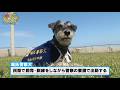 【四国初の小型警察犬】ミニチュア・シュナウザーのレオンくん