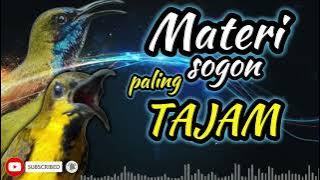MASTERAN SOGON TAJAM #sogongacor #burung #masteransogokontong #sogon #sogokontong #terapisogon