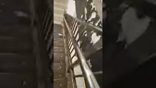 Live highlight fight in nyc subway