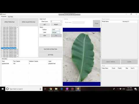 AI Vision Leaf Recognition