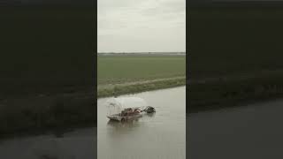 Crawfish Farming is Sustainable