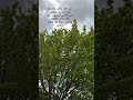 إن ٱلله يأمر بٱلعدل وٱلإحسـن وإيتآى ذى ٱلقربى اكسبلور المصحف لايك mp3