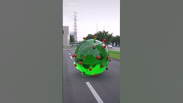 vi khuẩn khổng lồ