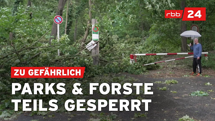 Nach dem Sturm in Berlin: Lebensgefahr durch herabstürzende Äste