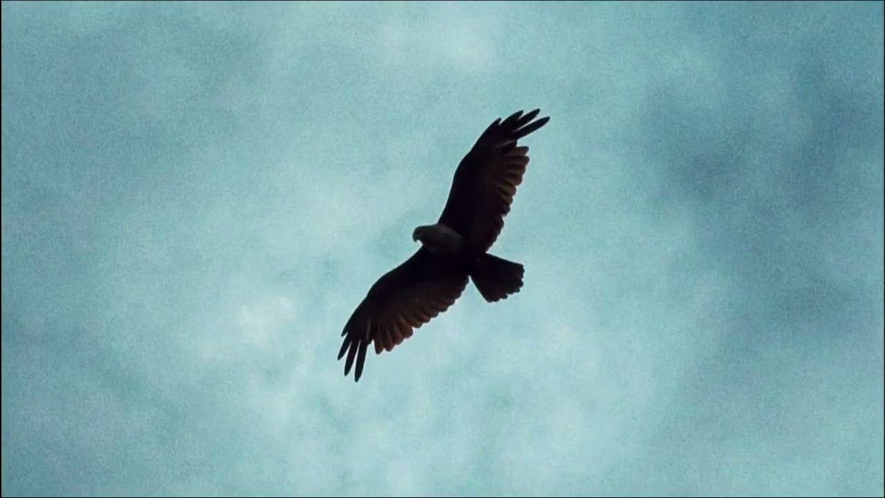 Новый трек SAVUL -  Летай