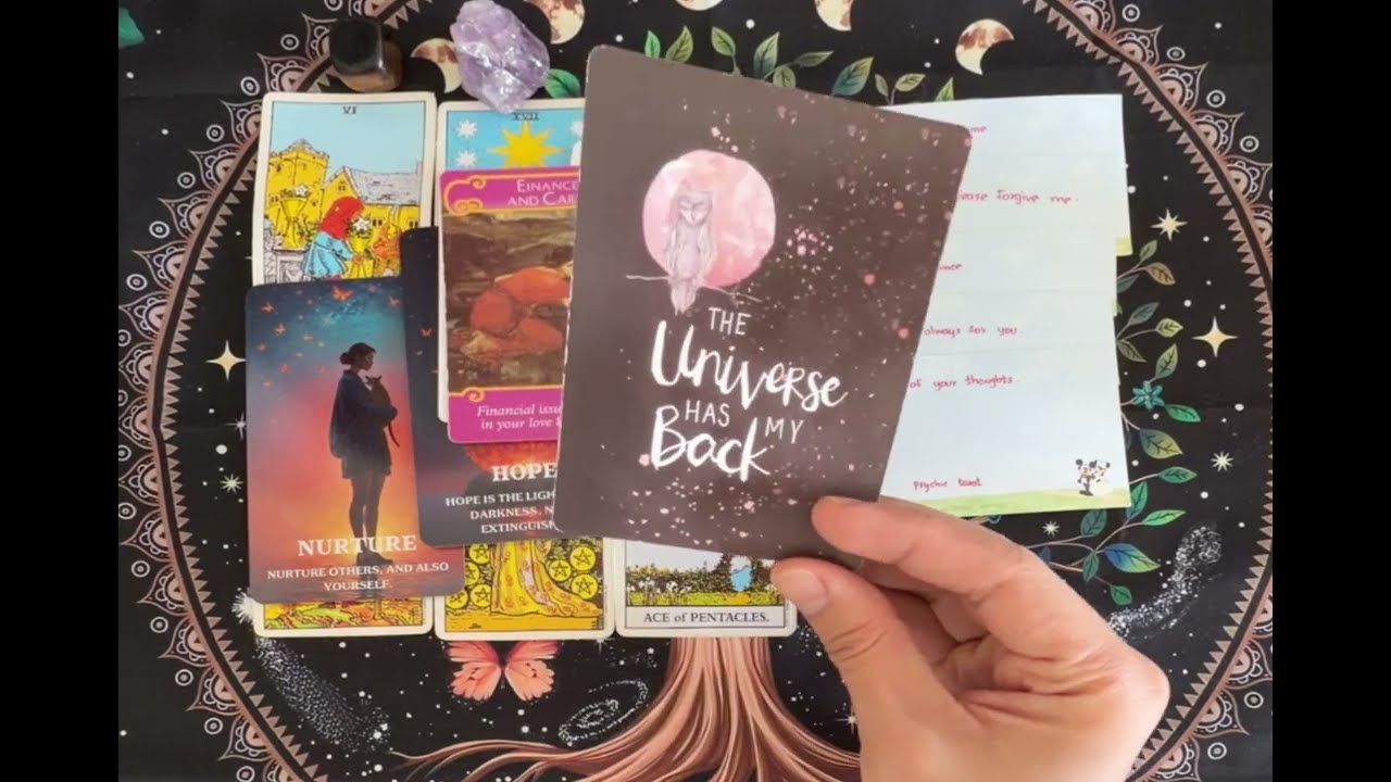 No Contact / Separation (Collective Reading) 🍀