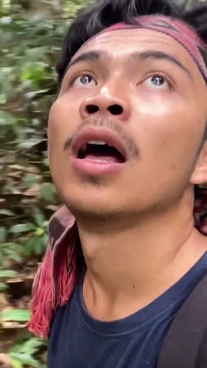 Stranded in the forest while looking for fruit part 2