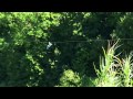 Grande tyrolienne de 320m Agen 47 à Happy Forest