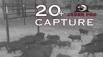 WILD HOG CONTROL | JAGER PRO™ TV Show | HUGE SOUNDER CAPTURE!