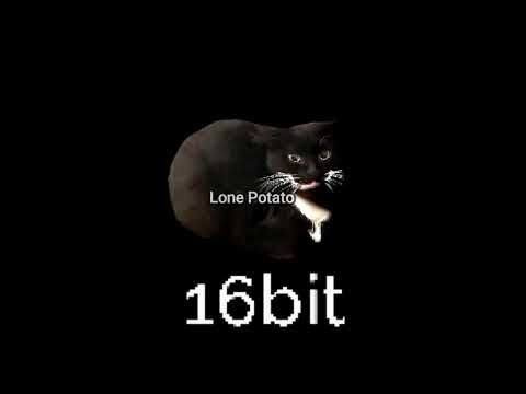 Maxwell the Cat But everytime with more bits