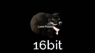 Maxwell the Cat But everytime with more bits