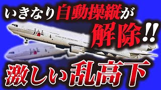 【恐怖】突如飛行機が激しく揺れた恐ろしい航空事故『日本航空MD11機乱高下事故』