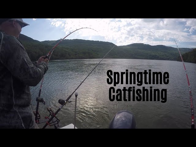 BIG Blues, SMALL Flatheads! Spring Catfishing (Ft. Reel Beasts) 